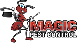 A Safe and Effective Way to Keep Your Home Pest-Free: Pest Control Loughton